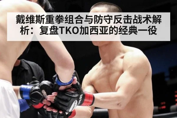 戴维斯重拳组合与防守反击战术解析：复盘TKO加西亚的经典一役