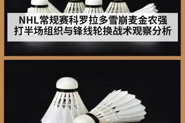 NHL常规赛科罗拉多雪崩麦金农强打半场组织与锋线轮换战术观察分析